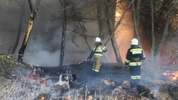 Белгородские пожарные ликвидировали 28 возгораний в регионе за минувшую неделю