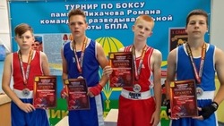 Вейделевские боксёры стали призёрами межрегионального турнира в Новом Осколе
