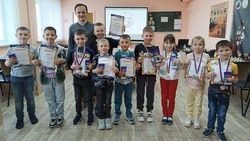 Юные спортсмены приняли участие в турнире по шахматам в Вейделевке