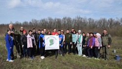 Жители Вейделевского района приняли участие в акции «Сад памяти»