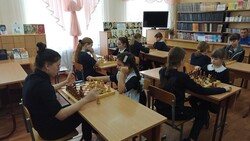 Первенство Вейделевского района выявило лучших шахматисток муниципалитета