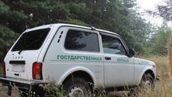 Участковые инспекторы леса усилили патрулирование лесных массивов в Белгородской области