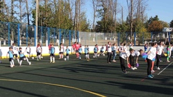 Спортивная площадка открылась в центральном парке посёлка Вейделевка