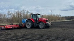 Аграрии посеяли более 2 тысяч гектаров сахарной свёклы в Вейделевском районе
