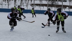 Школьники Вейделевского района сыграли хоккейный матч