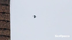 Вячеслав Гладков — о запуске дополнительного оповещения об атаках вражеских БПЛА в Валуйском округе