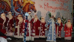 Вейделевцы открыли районную новогоднюю ёлку 19 декабря