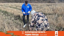 Жители Вейделевского района присоединились к международной акции «Сад Памяти»