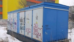 Сотрудники Белгородэнерго зафиксировали 350 фактов вандализма на энергообъектах