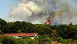 Белгородские власти ввели в регионе особый противопожарный режим