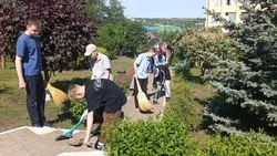 Сотрудники и учащиеся Вейделевской средней школы провели уборку прилегающей территории