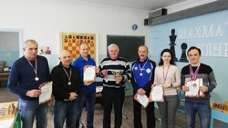 Чемпионат по шахматам среди команд трудовых коллективов завершился в Вейделевке