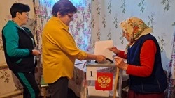Выездные бригады участковых комиссий отправились к избирателям Вейделевского района