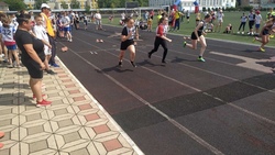 Команда Вейделевского района вошла в десятку лучших на областных соревнованиях ВФСК ГТО