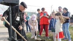 Жители улицы Гагарина в Вейделевке отпраздновали День космонавтики