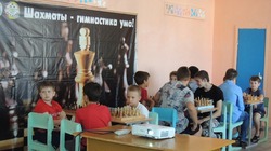 «Шахматные каникулы» стартовали в Вейделевке 22 августа