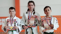 Вейделевские спортсмены заняли призовые места на первенстве Лискинского района по дзюдо