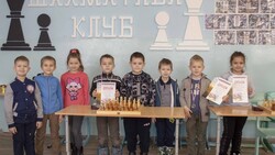 Вейделевские шахматисты определили победителей «Новогодней снежинки»