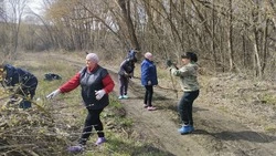 Жители Вейделевского района участвуют в месячнике добровольного служения Белгородской области