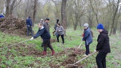Жители Вейделевского района приняли участие в областном экологическом субботнике