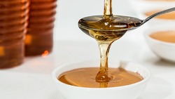 Китайские компании намерены заключить договоры на поставку белгородского мёда и чипсов