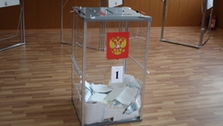 Около 40% избирателей Белгородской области сделали свой выбор за два дня голосования