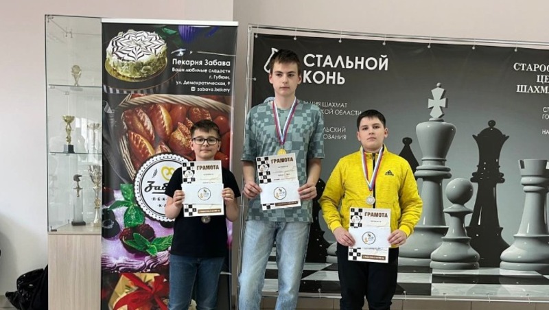 Вейделевский шахматист стал призёром первого сезона «Шахматной Медиа Лиги» 