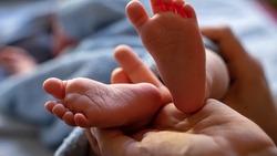 Показатели младенческой смертности в Белгородской области снизились на 38%