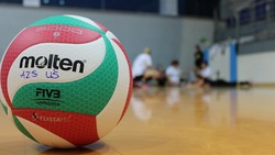 Россия станет страной-хозяйкой чемпионата мира по волейболу в 2022 году