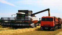 Аграрии Белгородской области собрали более 1 млн тонн зерна ко 2 августа