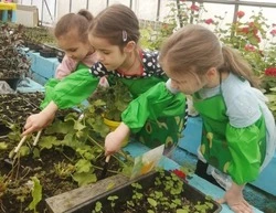 Воспитанники детсада «Радуга» посёлка Вейделевка познали тепличные секреты