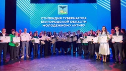 Вячеслав Гладков рассказал о вручении именных стипендий 20 белгородским студентам