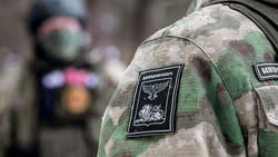 Вячеслав Гладков сообщил о ротации вступивших в «Барс-Белгород» двух глав муниципалитетов