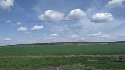 Решение  поселкового собрания городского поселения «Посёлок Вейделевка» от 27 июня 2025 года №3 