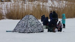 Жители Вейделевского района смогут принять участие в соревнованиях по зимней ловле рыбы