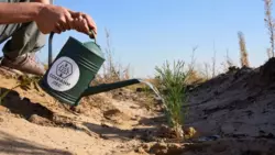 Белгородские компании получили статус «Партнёра национальных проектов России»