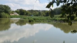 Два школьника из Вейделевского округа стали призёрами региональной «Лесной олимпиады»