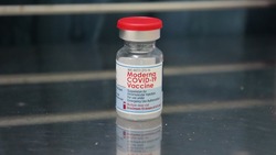 Вейделевская больница предоставила сведения о темпах вакцинации от ковида на 28 октября