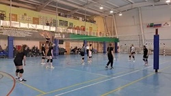 Женский турнир по волейболу прошёл в Вейделевском физкультурно-оздоровительном комплексе