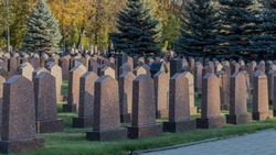 Новая система управления кладбищами появится в Белгородской области 