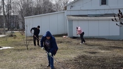 Жители посёлка Вейделевка приняли участие в экологическом субботнике