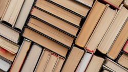 19 тыс. книг и рукописей были оцифрованы в Белгородской области с начала 2022 года