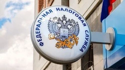 УФНС по Белгородской области сообщило о мошенничестве во время декларационной кампании