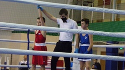 Белгородские и воронежские боксёры стали участниками турнира в Вейделевке