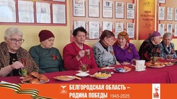 Встреча с ветеранами Великой Отечественной войны прошла в посёлке Викторополь Вейделевского района