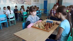 Вейделевская спортивная школа провела женский шахматный турнир