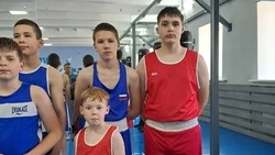 Вейделевские спортсмены выиграли две золотых медали на соревнованиях по боксу «Открытый ринг»