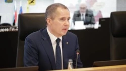 Вячеслав Гладков призвал наладить работу по оказанию соцуслуг в частных пансионатах