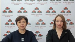 Руководитель Вейделевского района объявила дату проведения праздничного концерта