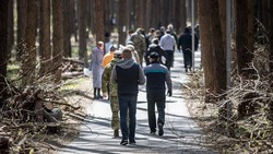 Вячеслав Гладков заявил об участии больше 100 тыс. белгородцев в месячнике добровольного служения